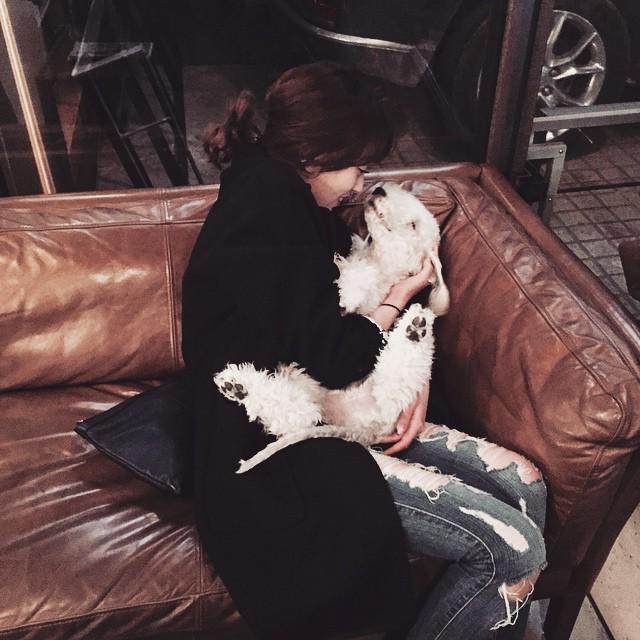 B9KGYGeCIAAVZXo.jpg:large