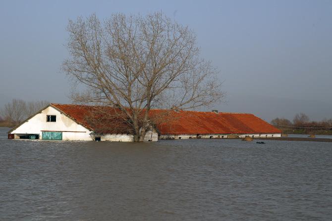 Доволно алармантно?
075  143 400
070  143 400
077  143 400
Донирајте, ретвитајте!