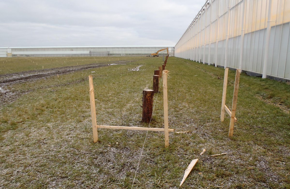 CombiCoop BV tweet media