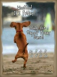 PiccadeliC's tweet photo. HAVE a beautiful Friday PC fans! @TheBallito @TheUmhlanga @PinX_9014 http://t.co/chnxafblOC