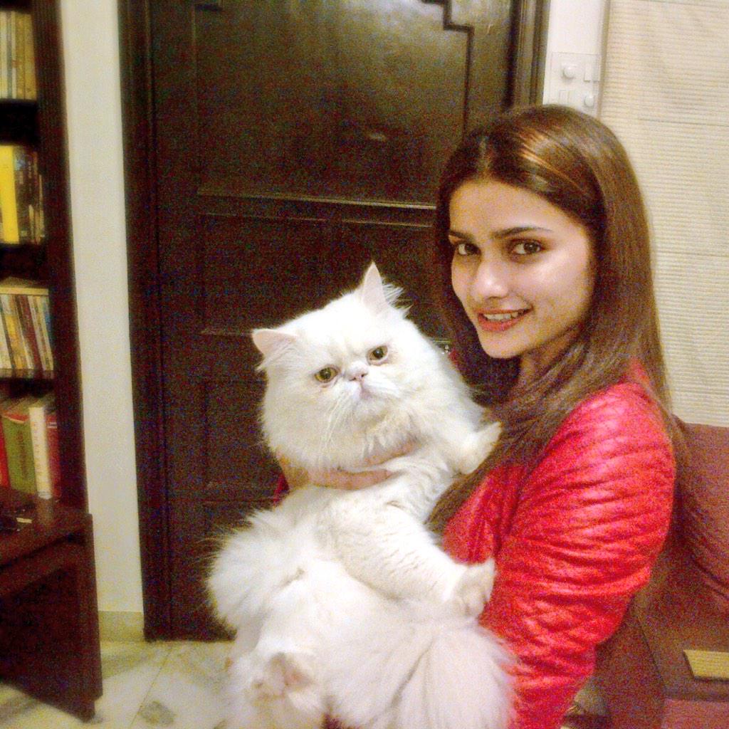 Cotton-Candy-Crush 😍  #TheZorroDiaries