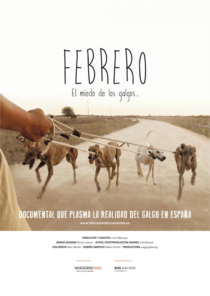 blogjavisfc's tweet photo. Febrero, el miedo de los galgos http://t.co/whyLX1Xir6 Primer #documental sobre la realidad del #galgo en #España http://t.co/CxsBx2FBFA