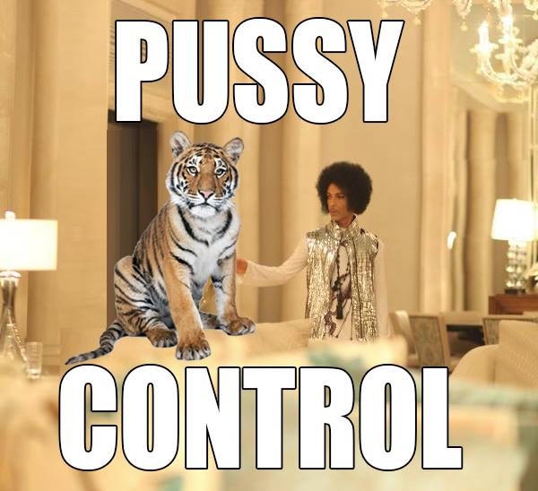 Prince Pussy Controll 88