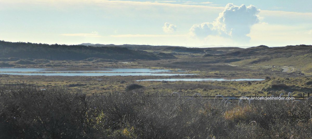 #wandelweer - rondje Grafelijkheidsduinen, ook in dit seizoen prachtig - #Huisduinen #DenHelder
