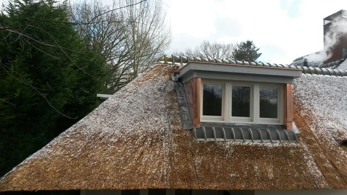 LPostenzonen tweet media