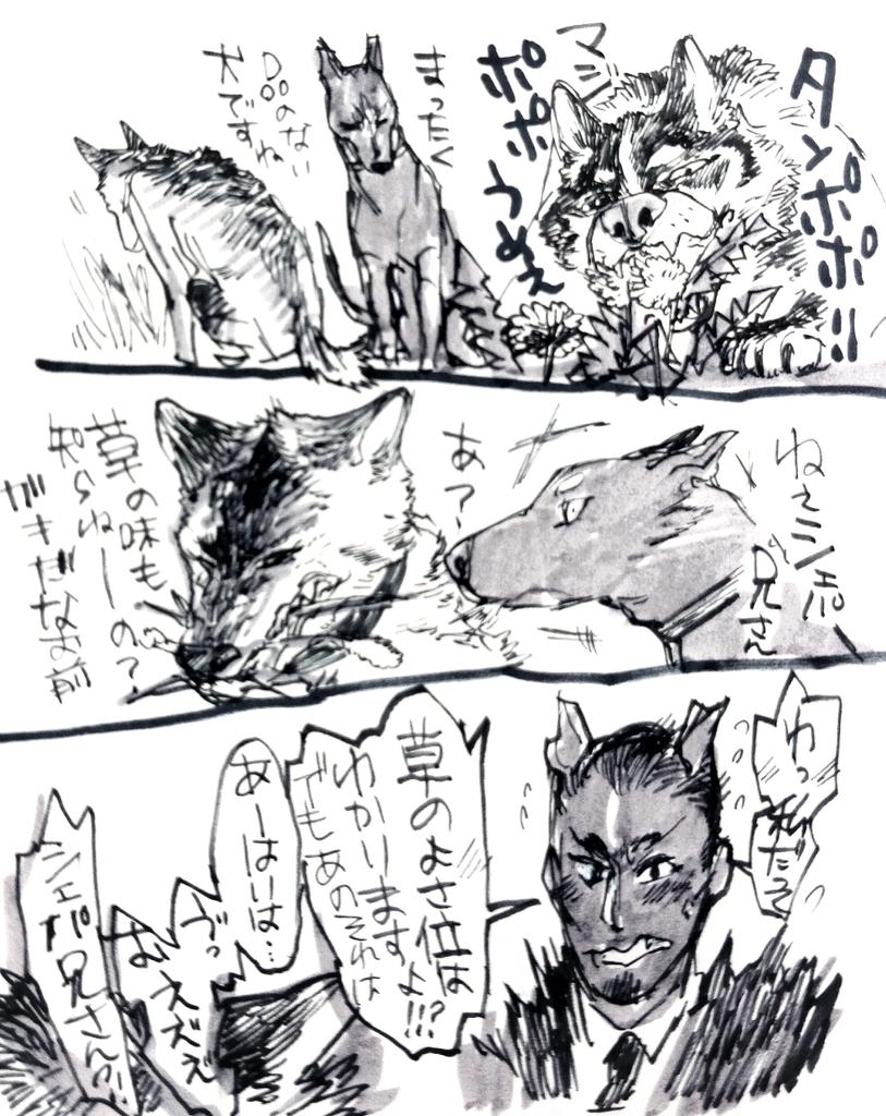 極楽鳥さんの犬擬人化漫画シリーズ Togetter 極楽鳥さんの犬擬人化漫画シリーズ Togetter