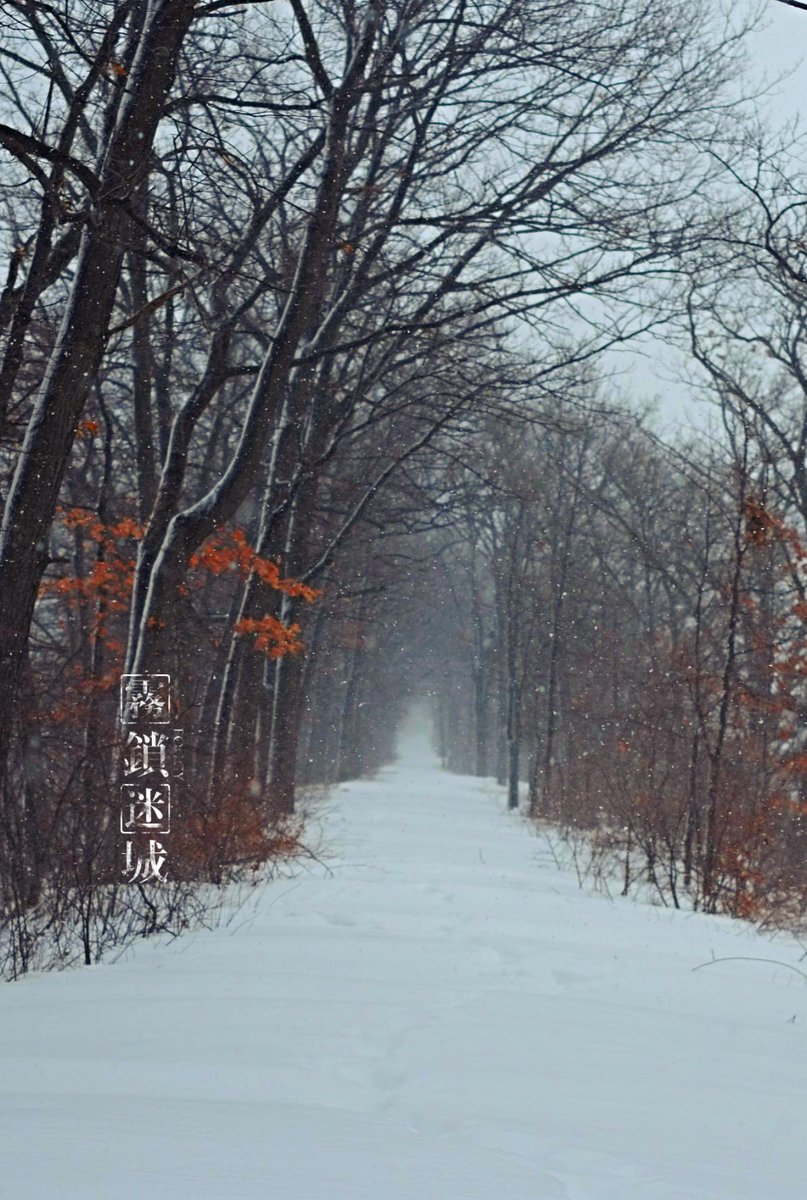 ChalkyChen's tweet photo. http://t.co/aFHFKxRZly