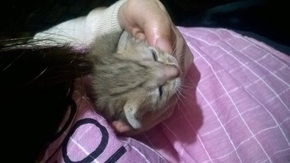 con gái nuôi, đáng yêu quá <3  ≧◠◡◠≦