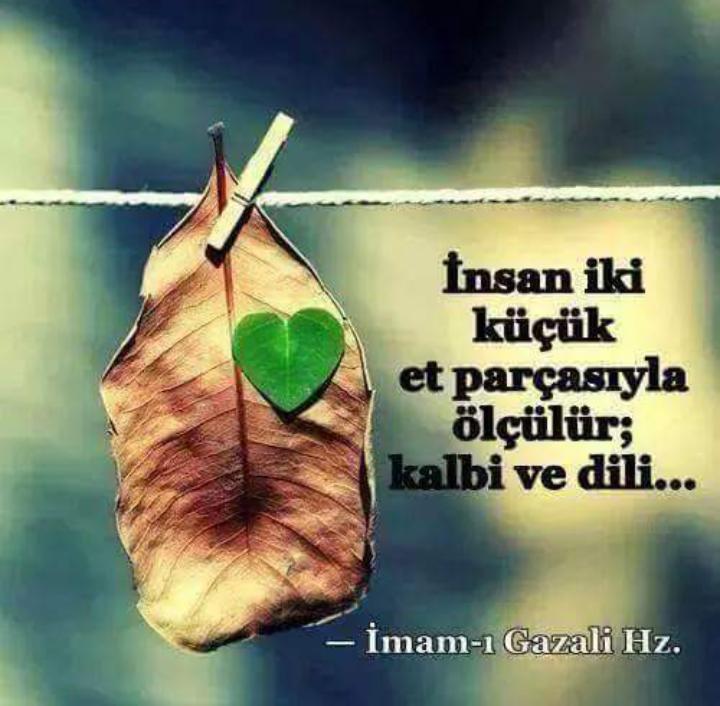 ibrahimpinarbas's tweet photo. http://t.co/PNSlFoFxZn