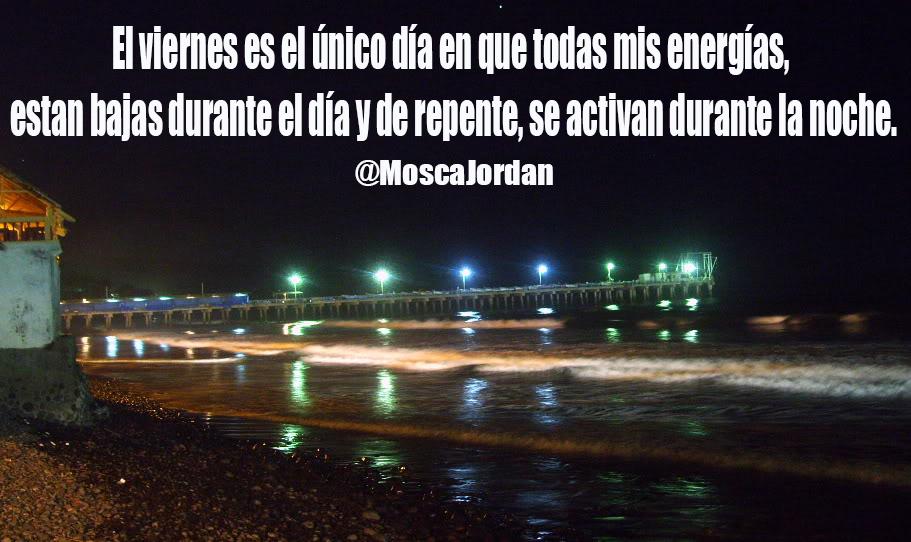 MoscaJordan's tweet image. 