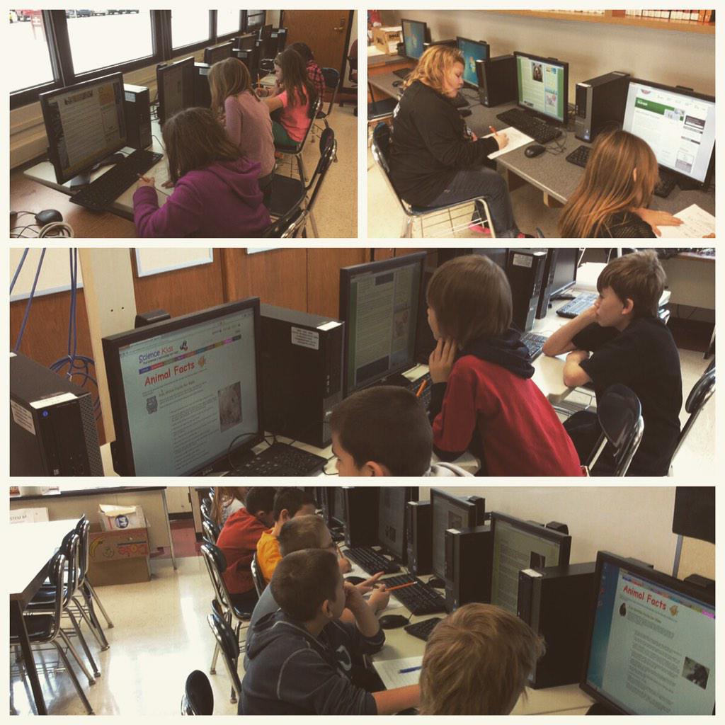 It's research time! #animalreports