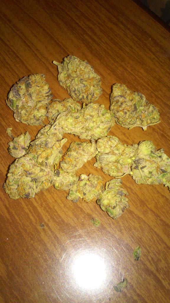 ITSMESKEEZ's tweet photo. @berner415 thank you my good sir http://t.co/cnqXTh1lih