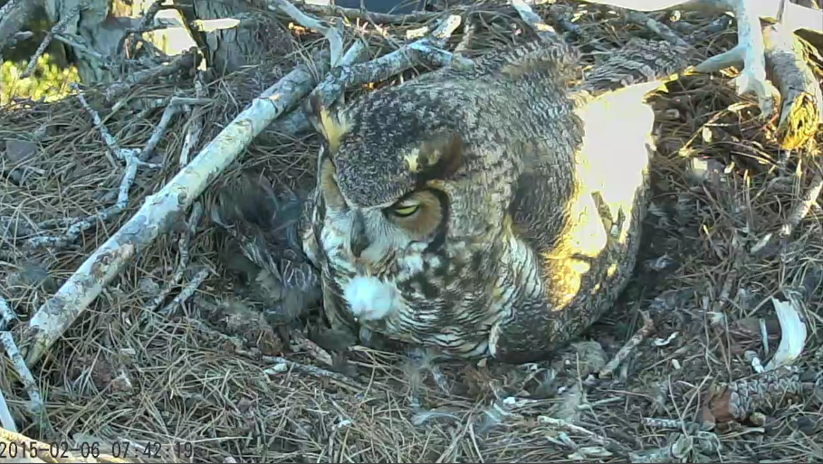 Embedded image permalink