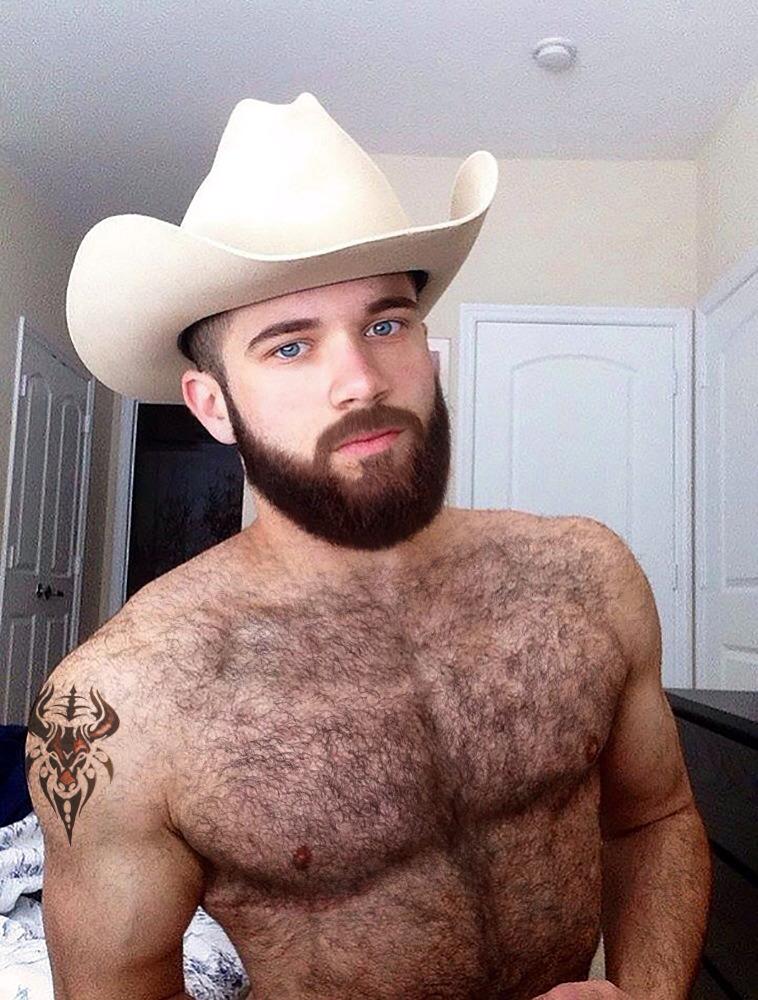 JCBFan69's tweet photo. Super-Cute Bearded Bear Studs! #RandomHotties #FanOfTheFur #BeardedForHisPleasure http://t.co/3389hBAH2F
