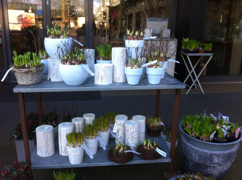 benstempher's tweet image. We hebben weer super gezellige voorjaarsbollen voor u klaar staan ! Leuk  voor u of om cadeau te geven.