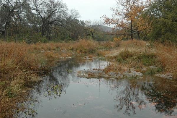 Hike at Turtle Rock Ranch, tomorrow, Feb. 7,  9:00am, 4-mile.  Join us meetu.ps/2GcSbc