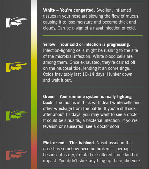Nasal Mucus Color Chart Mucus Color Meaning: 7 Different Colors You