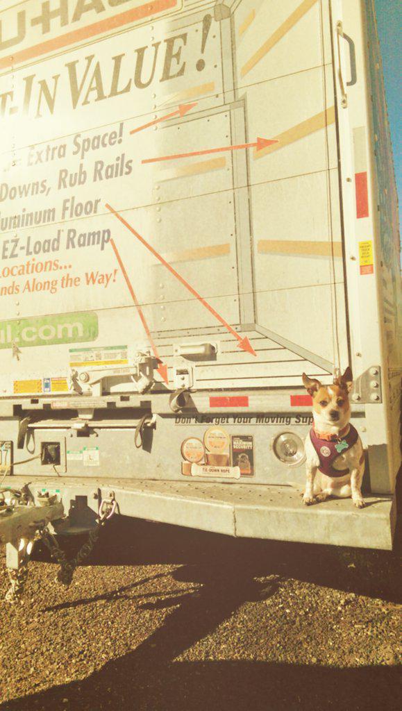 ave_tress's tweet photo. Last drive until our new home! #ByeAmarillo #RoadDog #arizonabound #uhaul #daisy #roadtrip #goingwest http://t.co/cevpU9EKfn