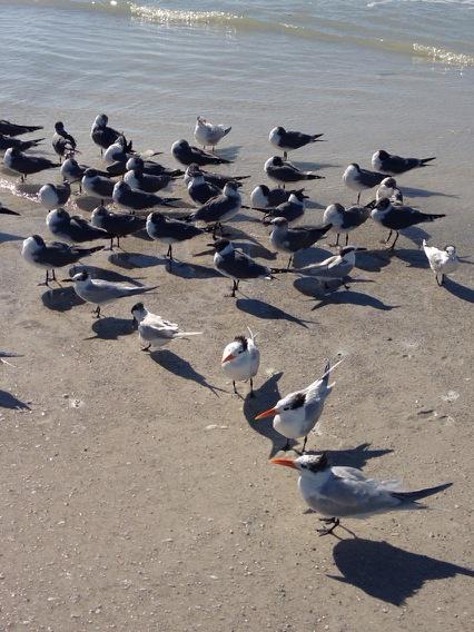 Lots of friends today!