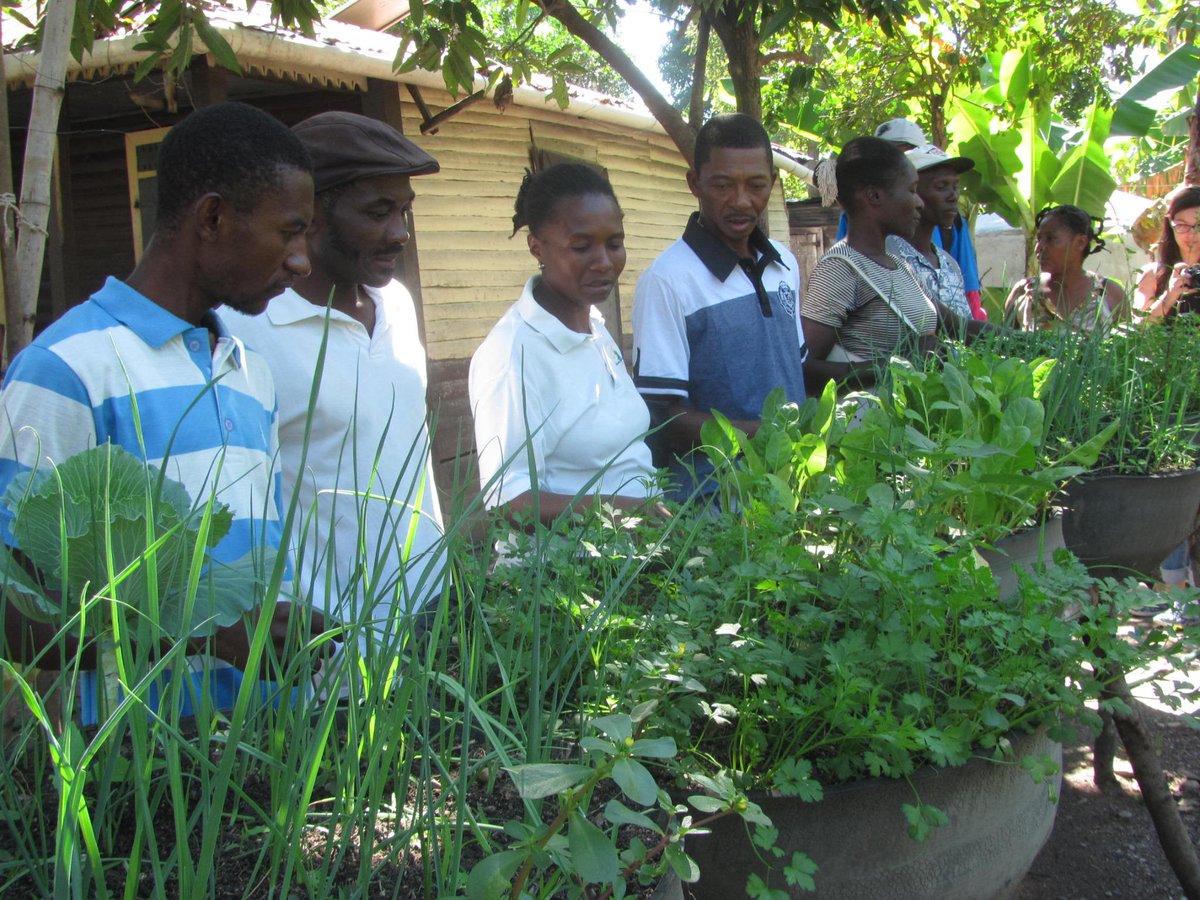 MouvementPaysanPapay tweet media