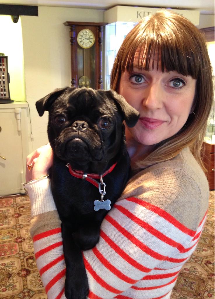 DBarkerandSon's tweet image. Ay up. Look out. The boss is about. #Sidneypug