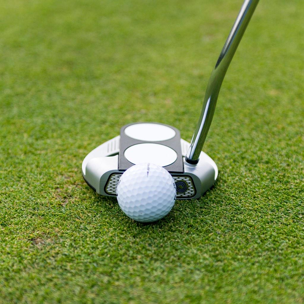 odysseygolf's tweet photo. We'd recommend #OdysseyWorks 2-Ball Fang if:
✔️You want better alignment
✔️You want a better roll
✔️You love birdies http://t.co/zYzWV372WK