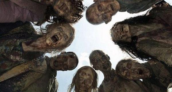 Zombie Farm tweet media