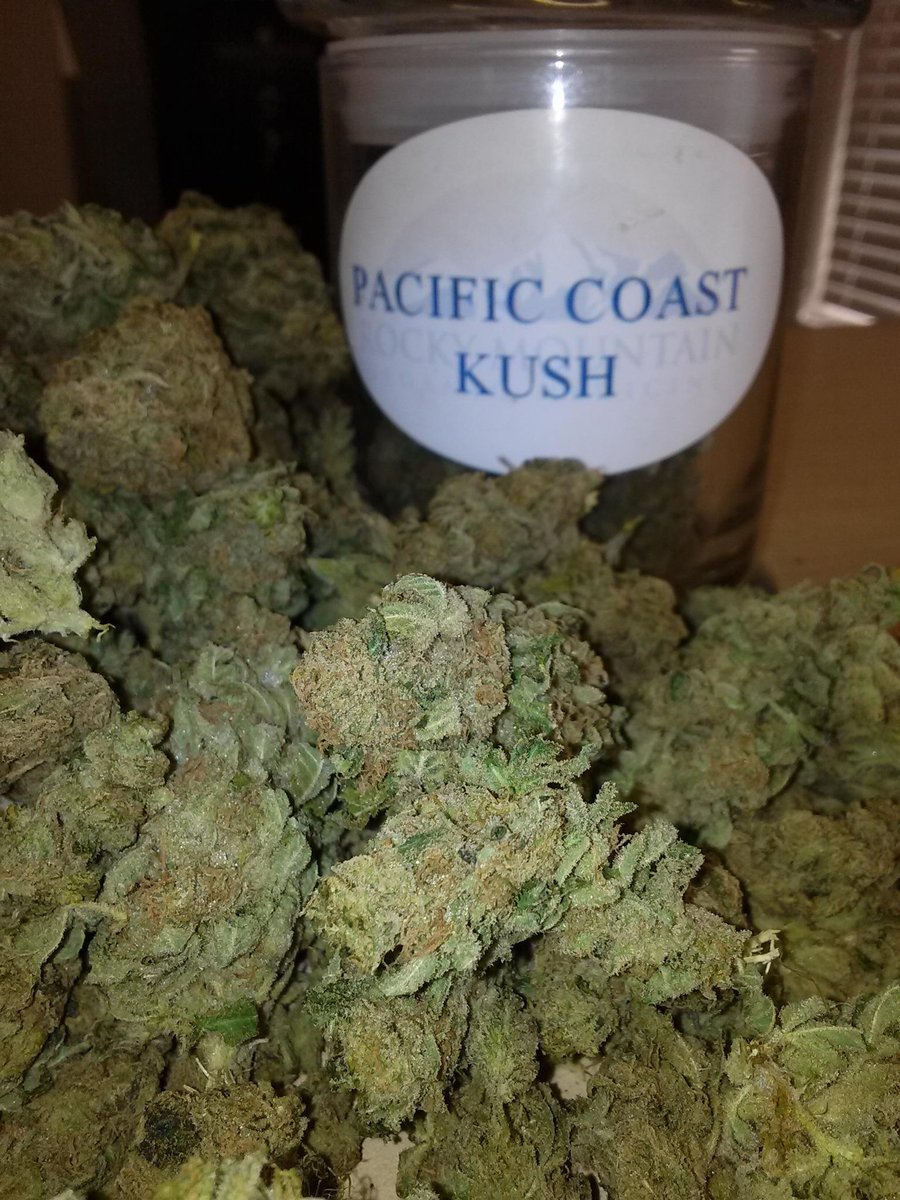 OrganicDenver's tweet photo. Today's Ounce Special: Pacific Coast Kush!
$119/ea 1pp.
Always soil. Always organic.
#cannabis #mmjdeals #pck http://t.co/7yJndytlEC