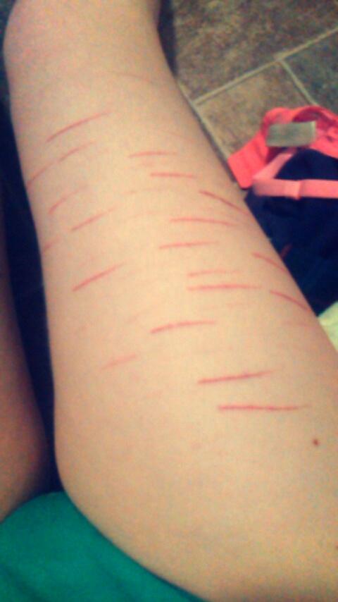 WithinSadness's tweet image. Forever trying to just feel something