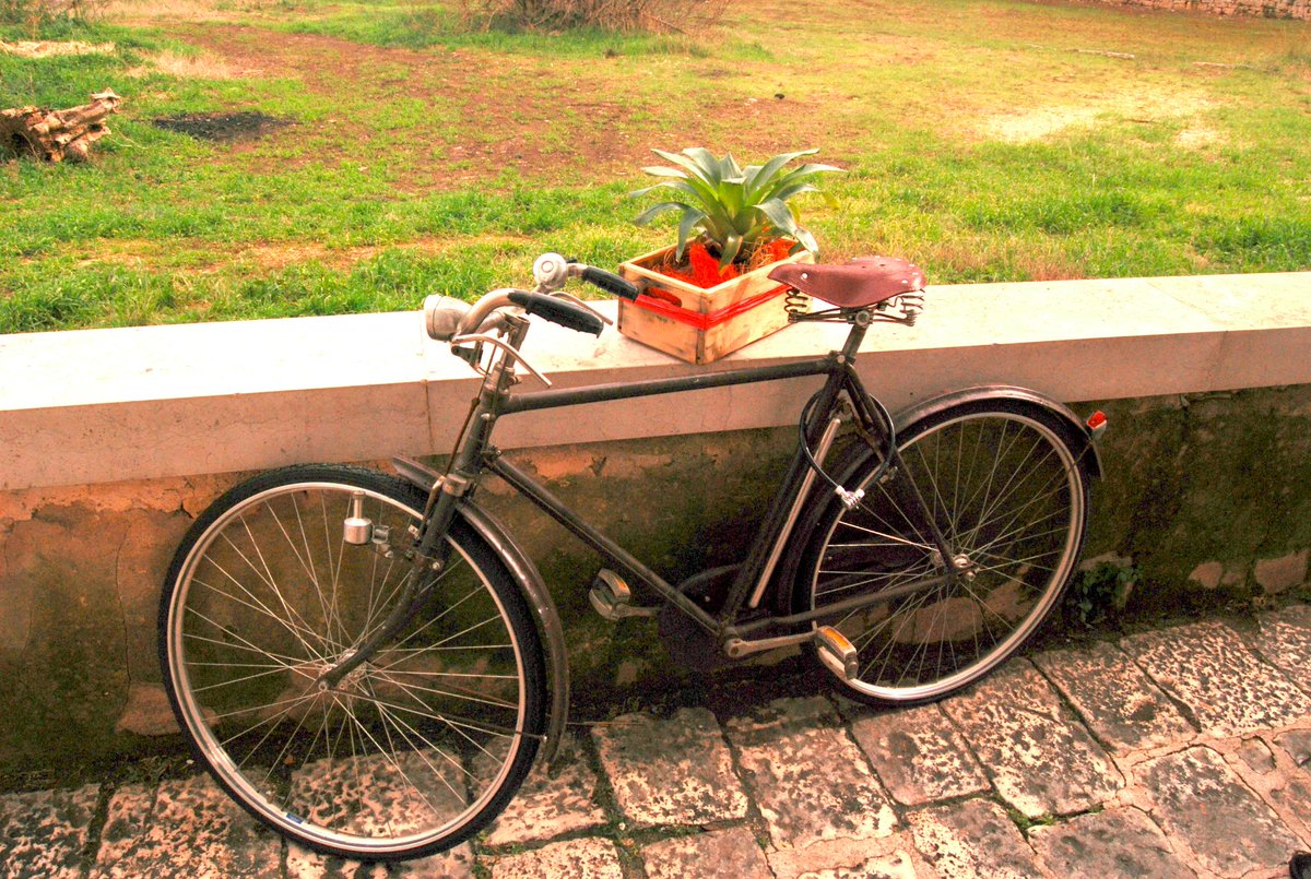 SunnyPuglia's tweet photo. Did  you know that in #Puglia you can cycle almost anywhere? there are plenty of ways to discover the @RegionePuglia http://t.co/ZJD8YuRqrC