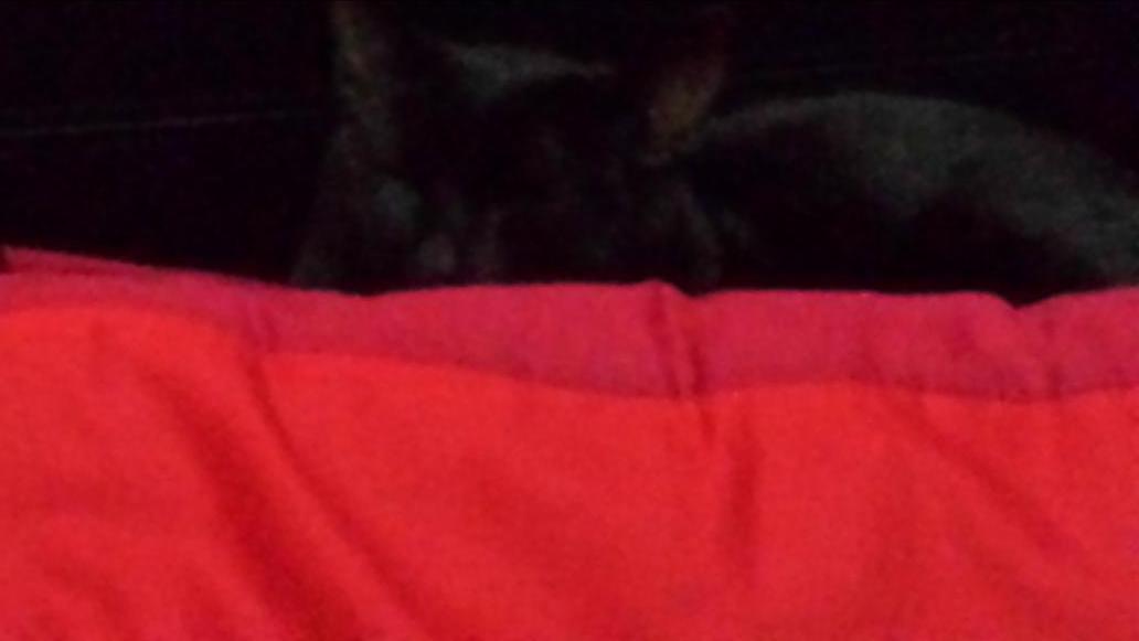 micrababe's tweet image. 