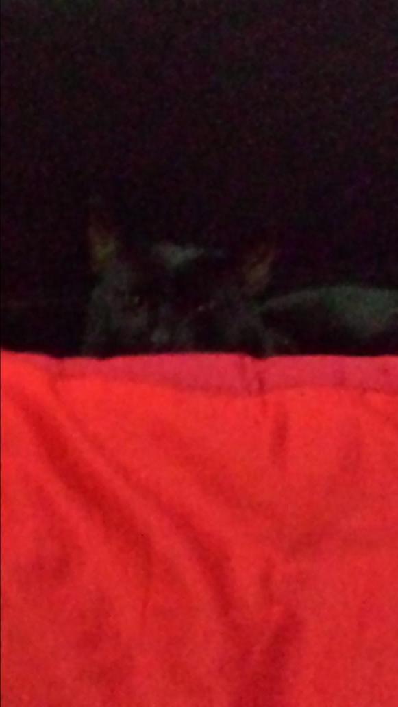 micrababe's tweet image. 