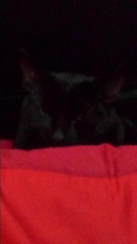 micrababe's tweet image. 