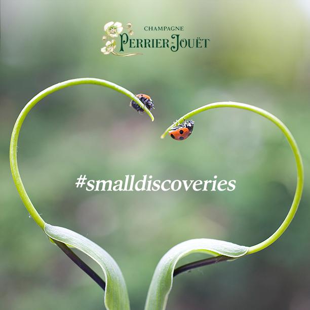 perrierjouet's tweet photo. Explore the romance between mankind &amp; nature! Get inspiration at http://t.co/KnlH0iJsqt, share your #smalldiscoveries http://t.co/ykOmhqIrmH