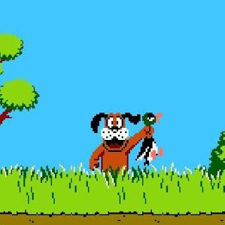 RumblePoniesBB's tweet photo. . @AkronRubberDuck @metro_parks #duckhunt #gettheduck http://t.co/mqbBffj9Ac