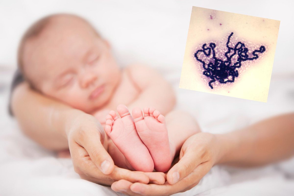 LivECHOFamily's tweet image. How can I protect my unborn baby from Group B Strep? @GBSSupport bit.ly/1zXxH8x