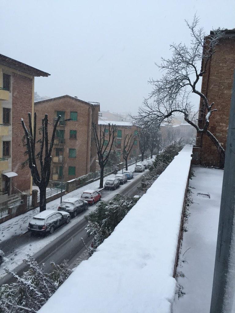 thisislricci's tweet photo. Stamani ci siamo svegliati così #fuorinevica #bigsnow #siena #neve @3BMeteo @ilmeteoit http://t.co/7YZYWudq6R