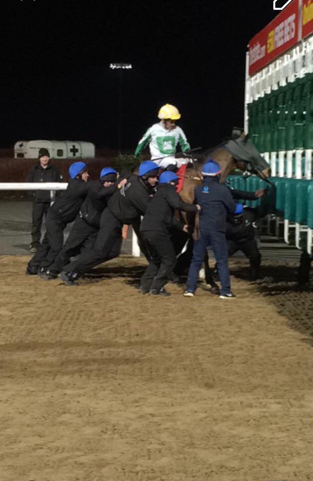 RossCoakley's tweet photo. Horsepower VS Manpower! #needsapush http://t.co/eqoBzxBso8