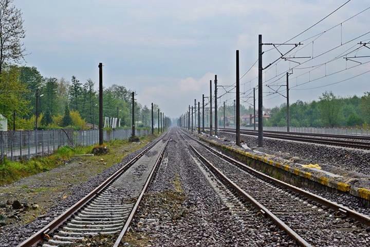 Tolga Çolak (@tcolak79) on Twitter photo 