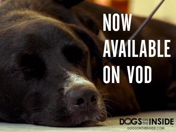 Dogs on the Inside tweet media