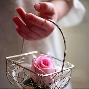 Yousef_sadeq96 tweet picture
