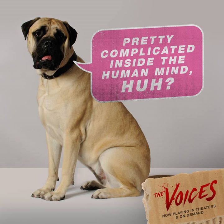 In Jerry’s mind? Yes. See how complicated it is TONIGHT. #TheVoices is now playing: lions.gt/TheVoicesVOD