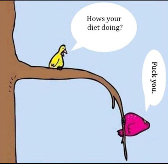 conniesou's tweet image. Do over #dietroadkill #NewYearsResolutionfail