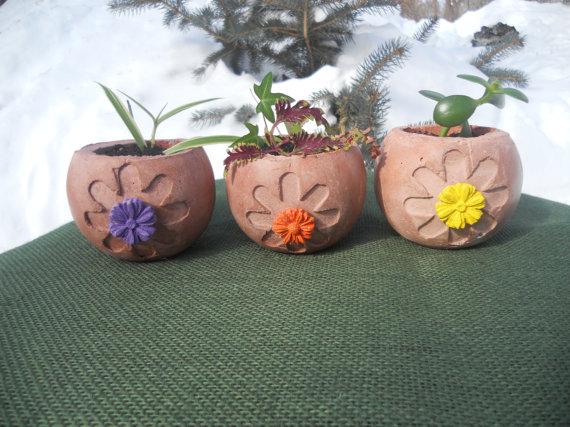 TheCraftStar's tweet photo. Great #gift for #housewarming or #gardener! #Terracotta #MiniPlanters Set of Three http://t.co/gZzplxmeII #planters http://t.co/Z79wWlkgaU