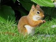 ELIZABETHLIZA16's tweet image. 