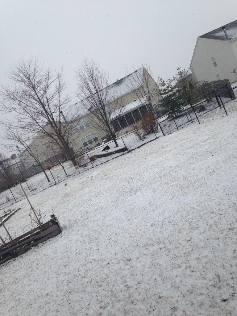 TakingPhoto's tweet image. Snow.....
