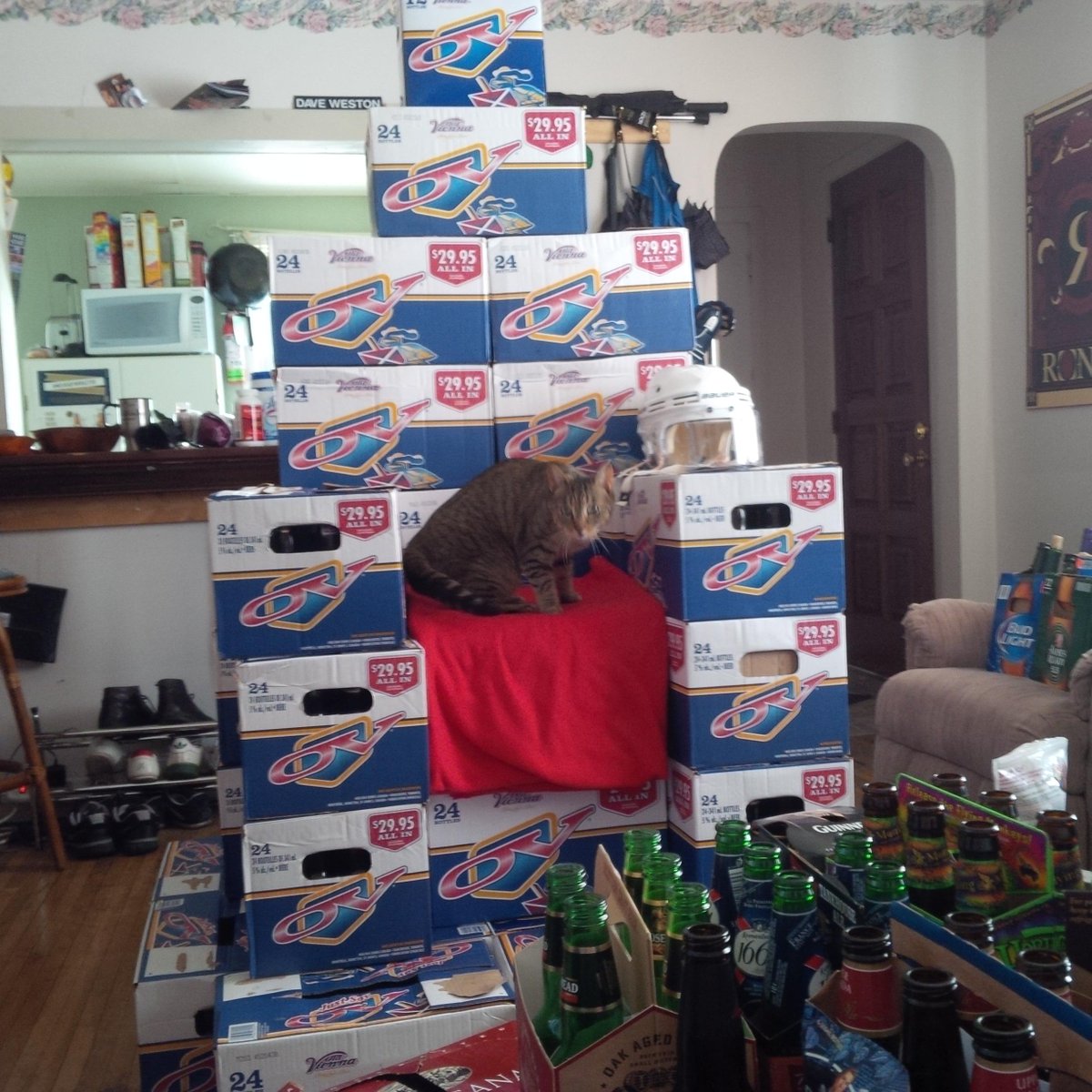 Chris Shaw tweet media