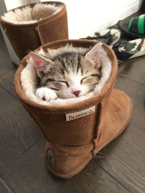 ClockerK tweet picture