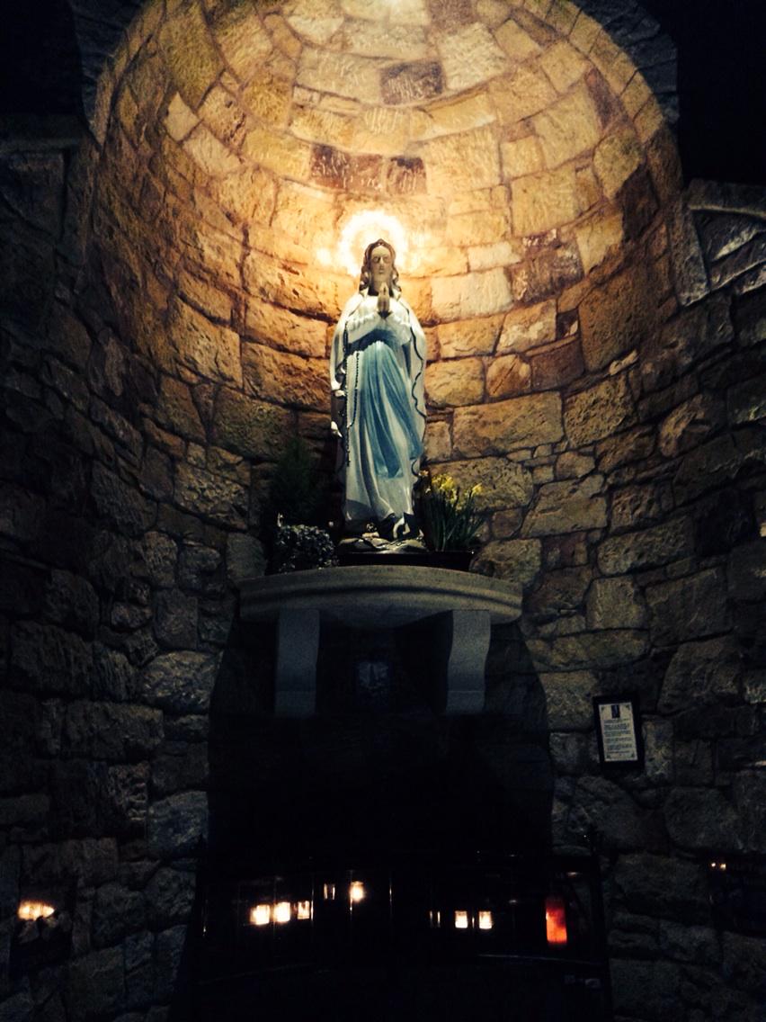 download b chromosomes in