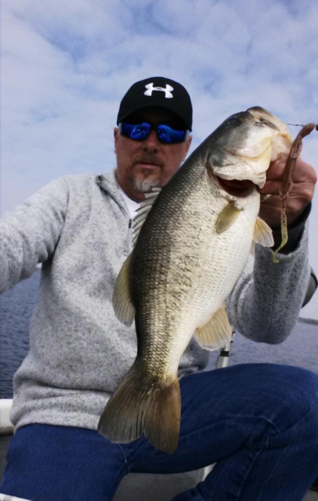 RdRickdenton55's tweet photo. From #crankbait  #fishing  to #softplastics #bassfishing #bigbass #tournamentfishing #Shimano #powerpole #fisherman http://t.co/sLRi1uXUgv
